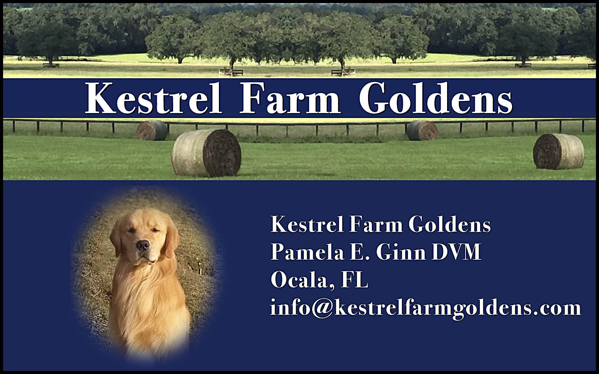 Kestrel Farm Goldens